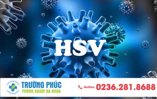 Vi rút HSV nguyên nhân gây bệnh mụn rộp sinh dục