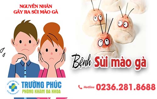 Nguyên nhân gây ra bệnh sùi mào gà
