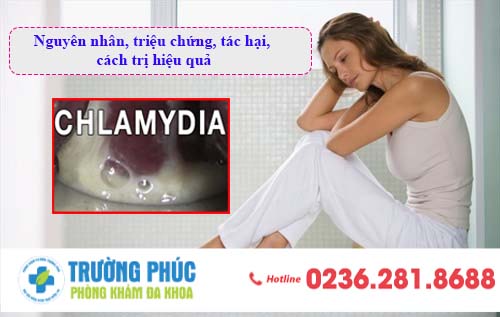 Chlamydia: Nguyên nhân, triệu chứng, tác hại, cách trị hiệu quả