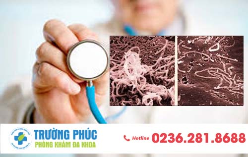 Biện pháp hỗ trợ điều trị bệnh hạ cam