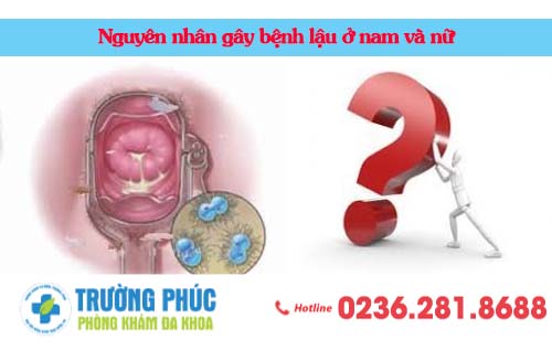Nguyên nhân gây bệnh lậu ở nam và nữ