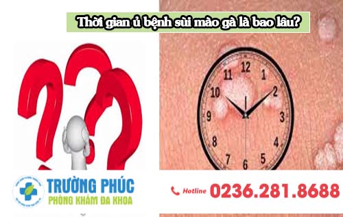 Thời gian ủ bệnh sùi mào gà là bao lâu?